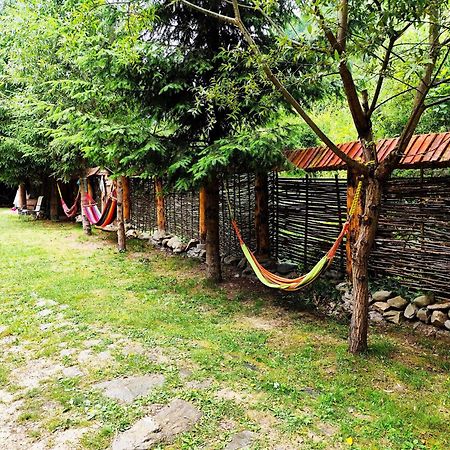 Cabana Frasin Dragoslavele Exterior foto