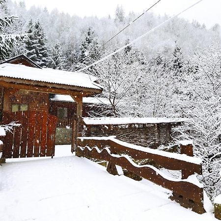 Cabana Frasin Dragoslavele Exterior foto