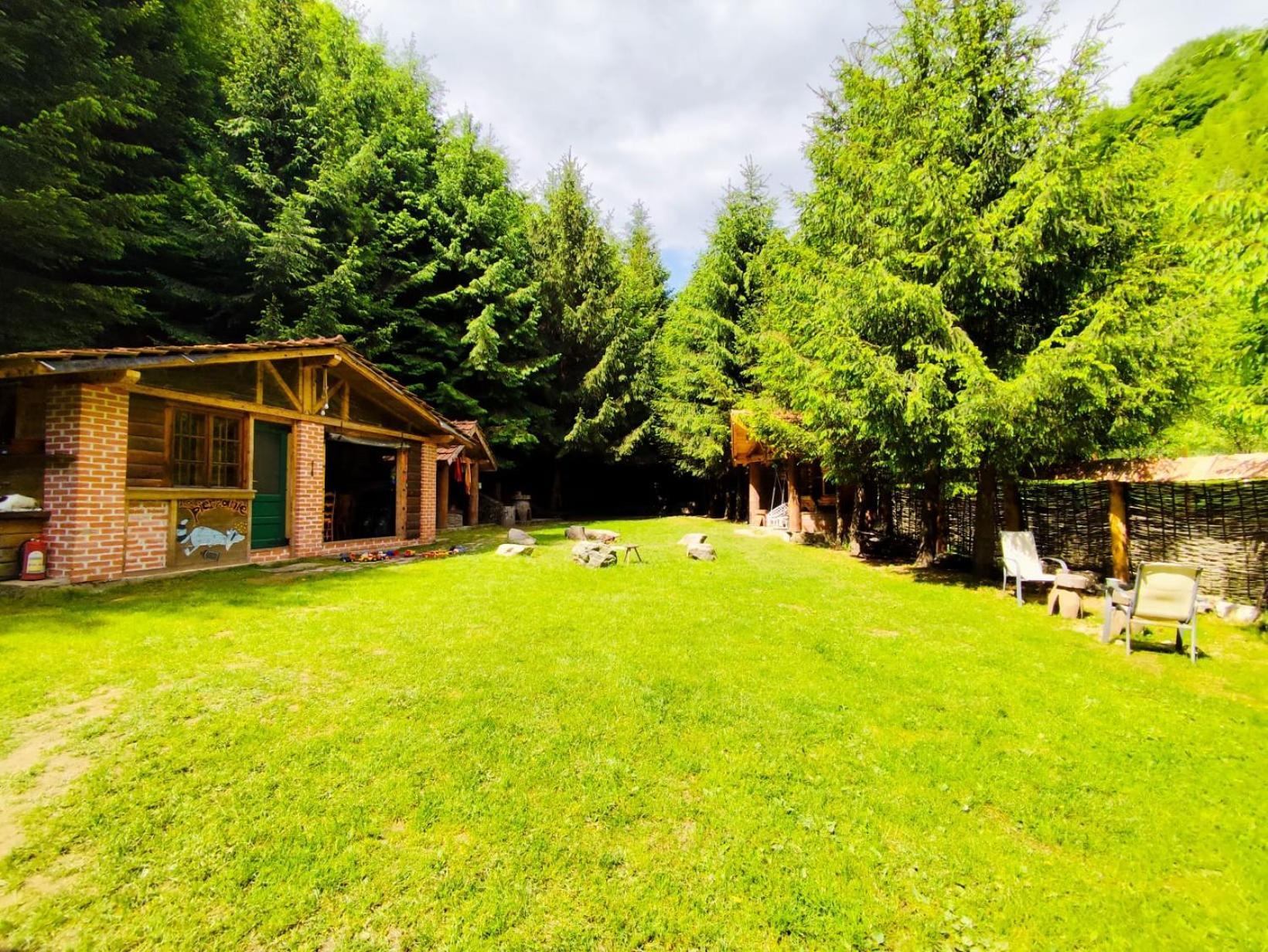 Cabana Frasin Dragoslavele Exterior foto