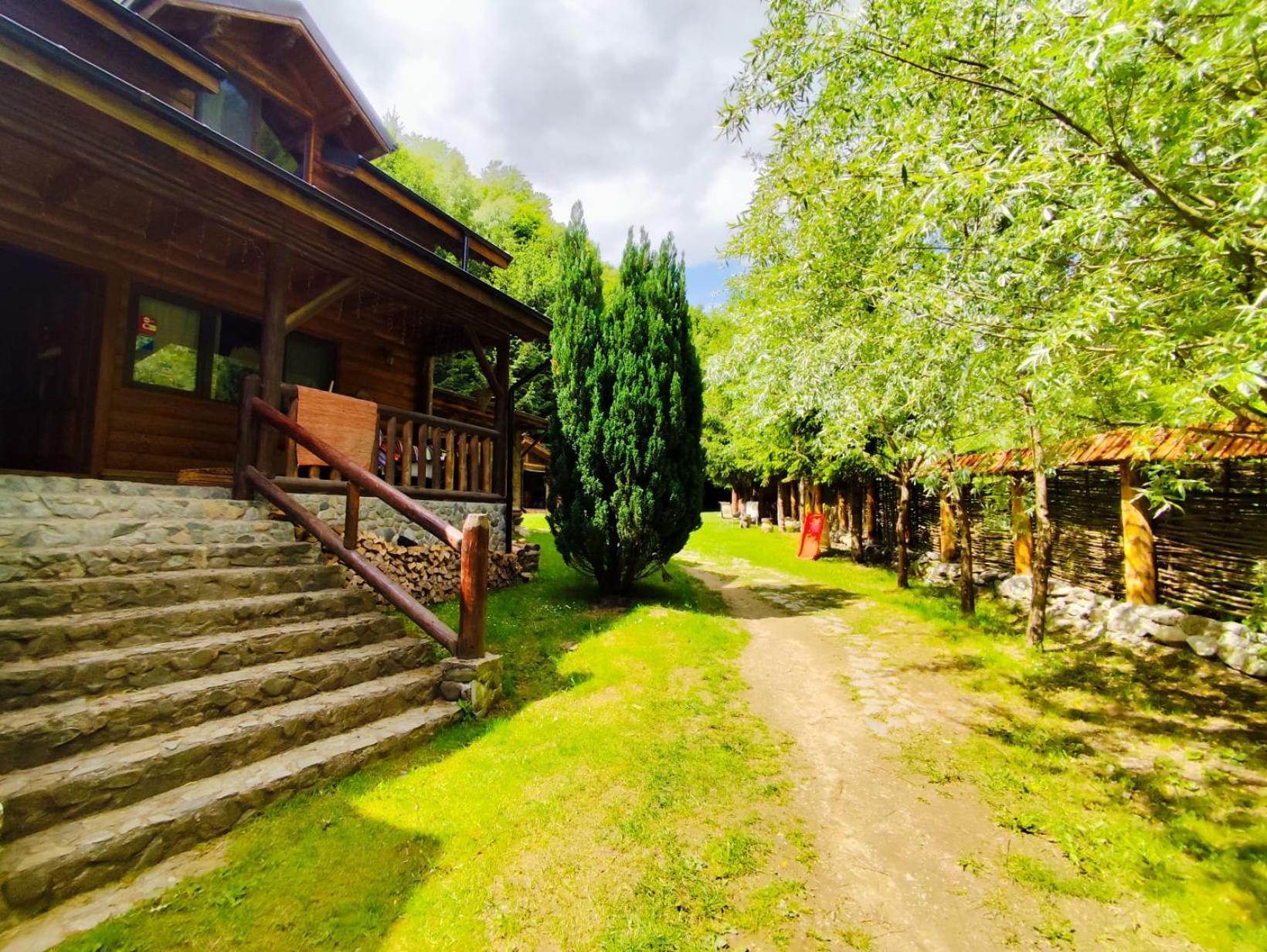 Cabana Frasin Dragoslavele Exterior foto