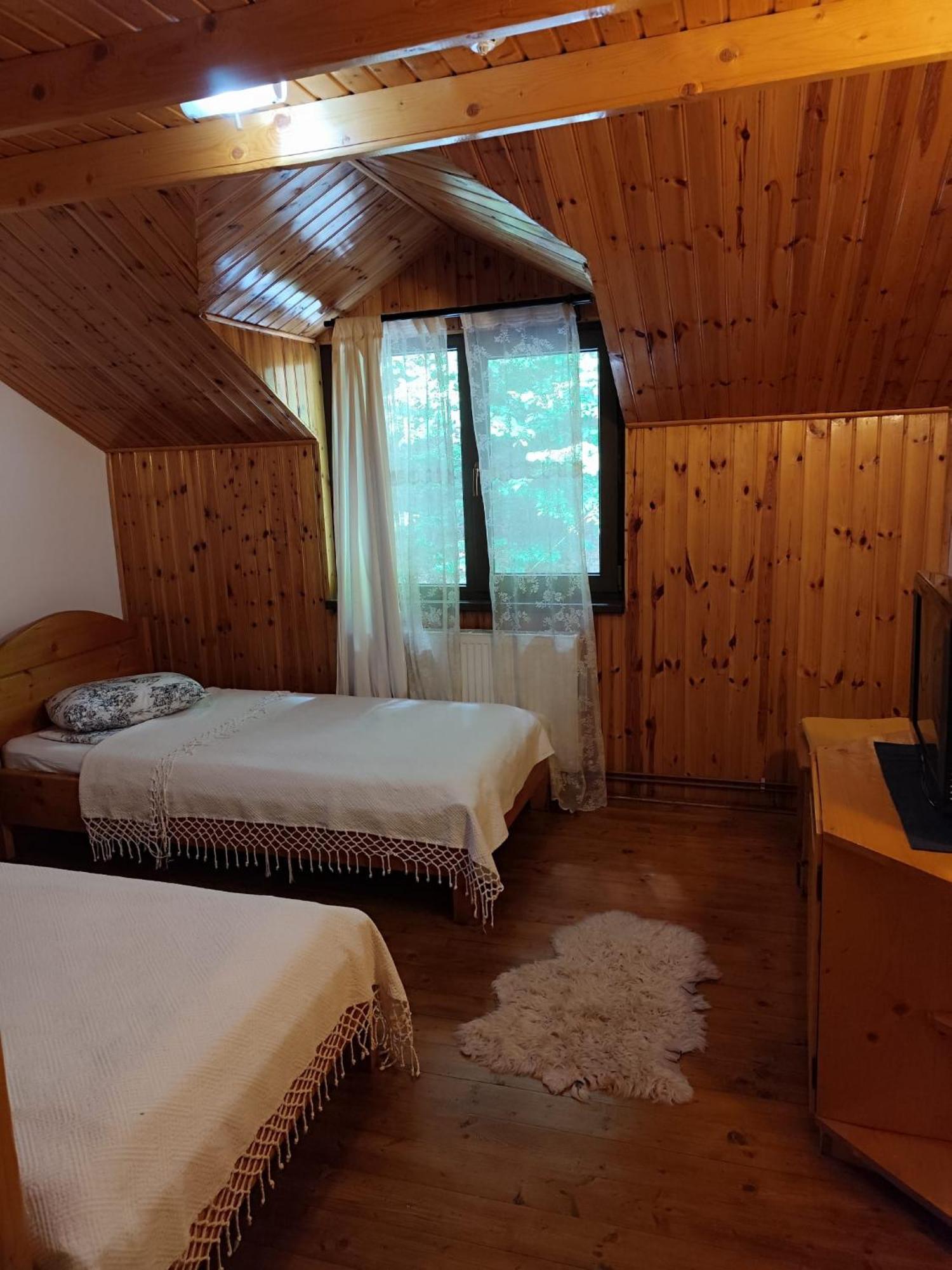 Cabana Frasin Dragoslavele Exterior foto