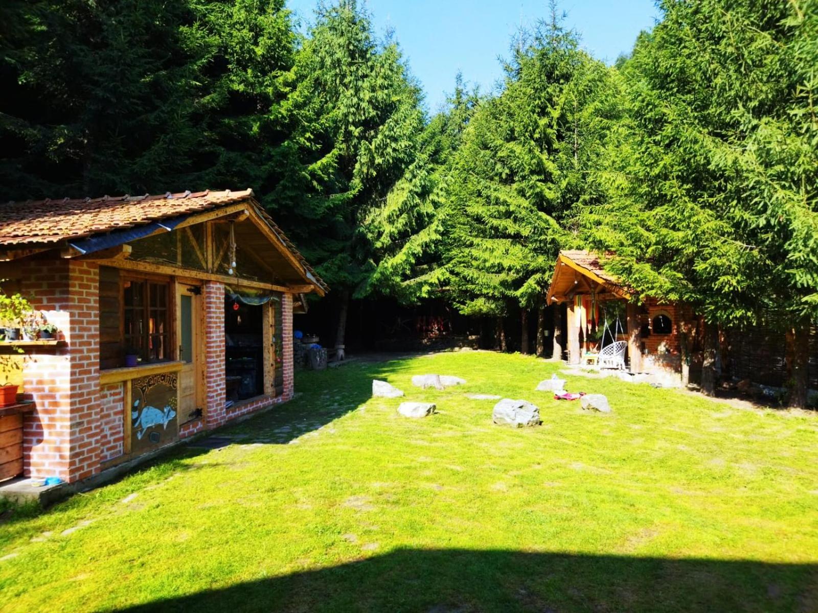 Cabana Frasin Dragoslavele Exterior foto